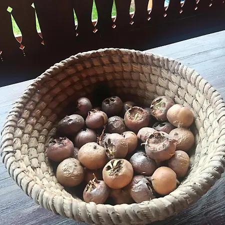 Var-liget Vendeghaz 招待所