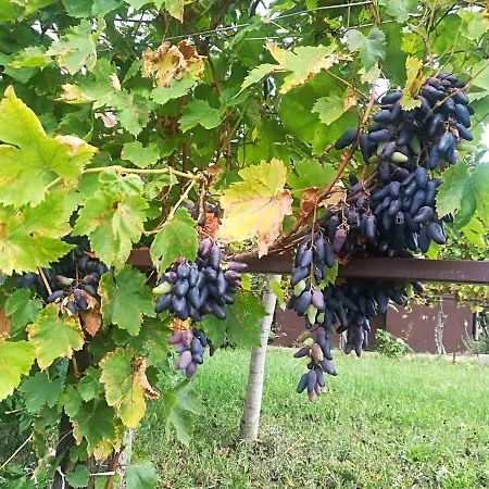 Var-liget Vendeghaz 4* Kisnána