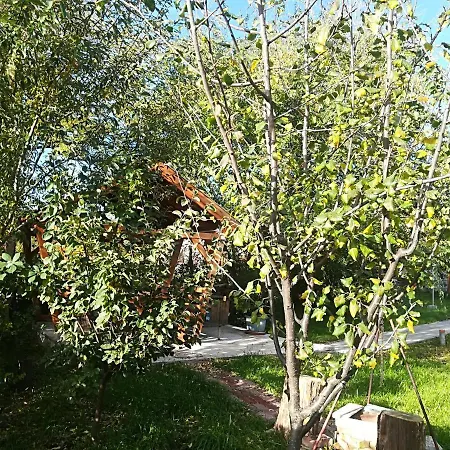 Var-liget Vendeghaz بيت ضيافة Kisnána