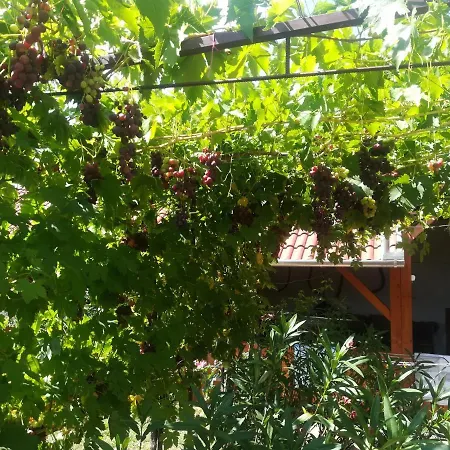 Var-liget Vendeghaz 4*