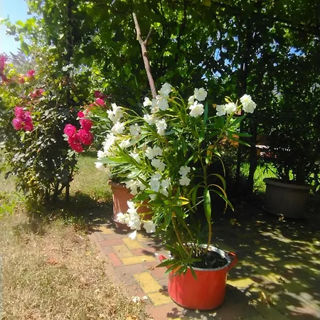 Vár-liget Vendégház 3*