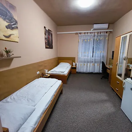 Vár-liget Pensión 3*
