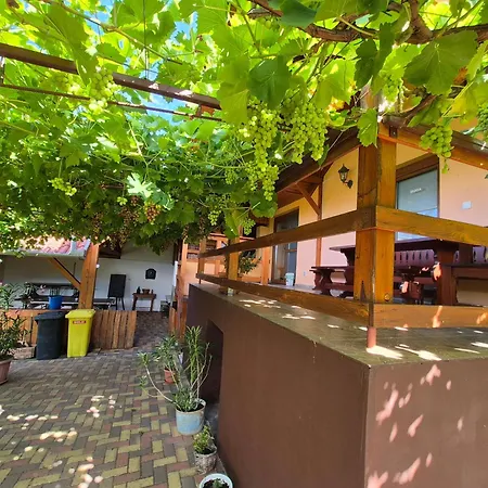 招待所 Var-liget Vendeghaz