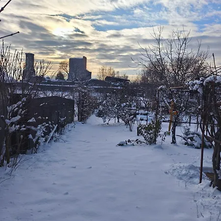 Vár-liget